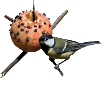 bird feeder (1)