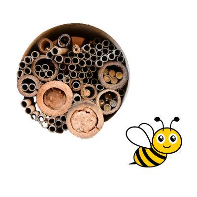 bee hotel