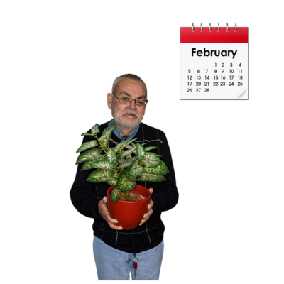 what to grow in feb