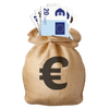 Moneybag Euros (1)